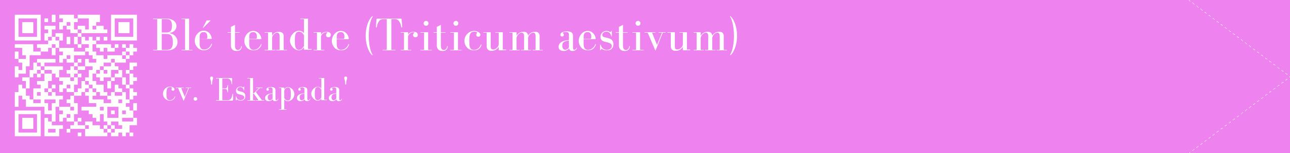 étiquette 2