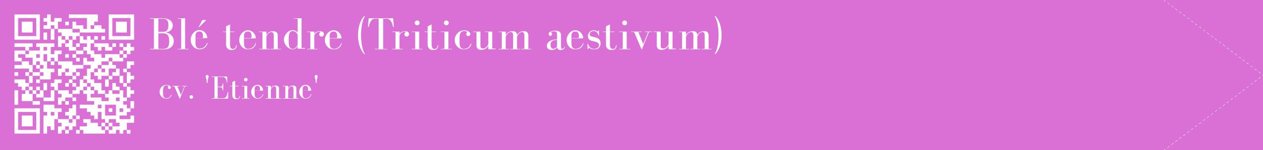 étiquette 2