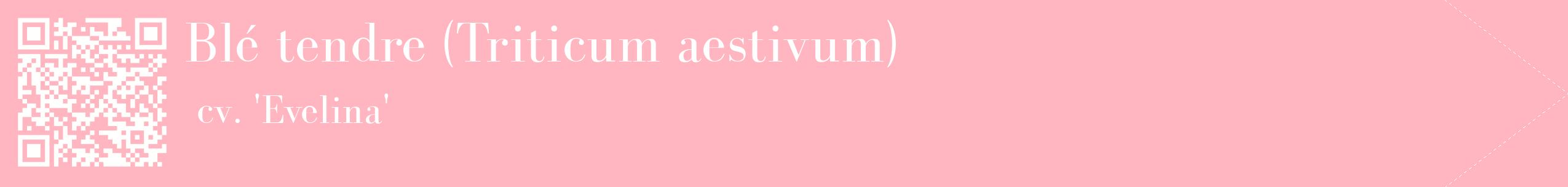 étiquette 2