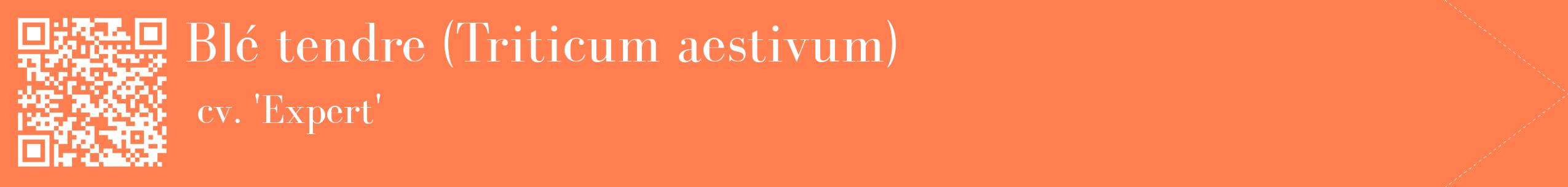 étiquette 2