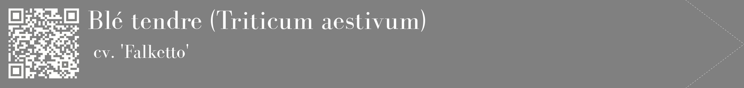 étiquette 2