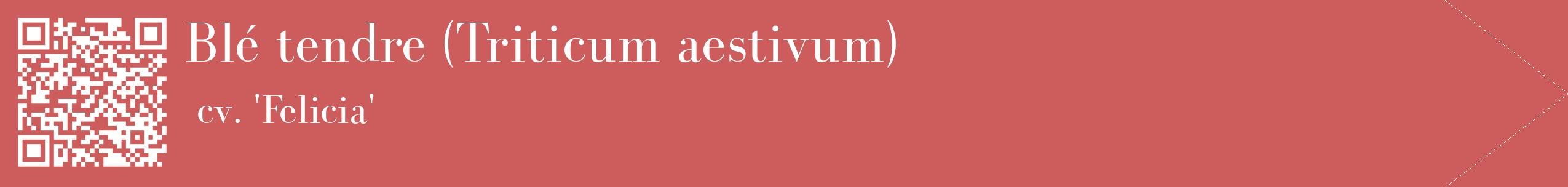 étiquette 2