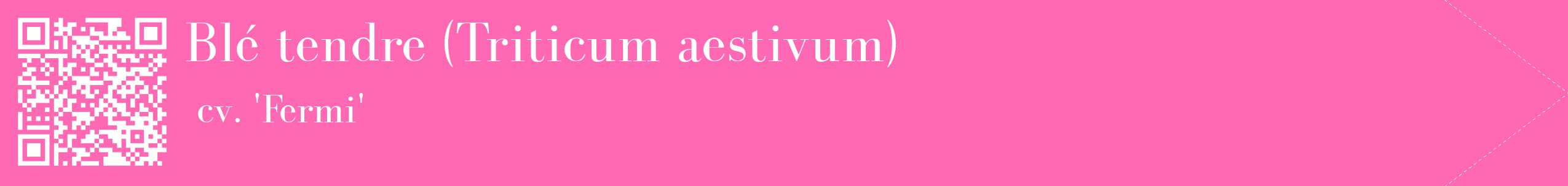 étiquette 2