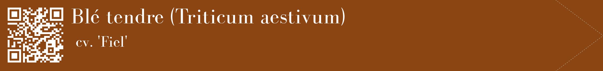 étiquette 2