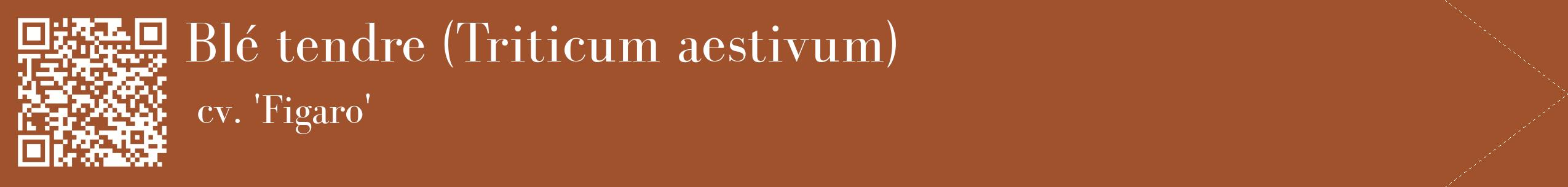 étiquette 2