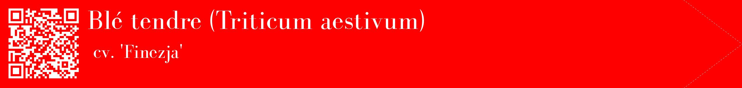 étiquette 2