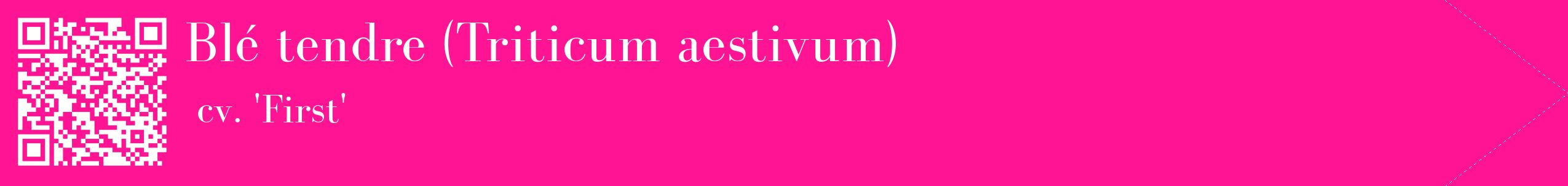 étiquette 2