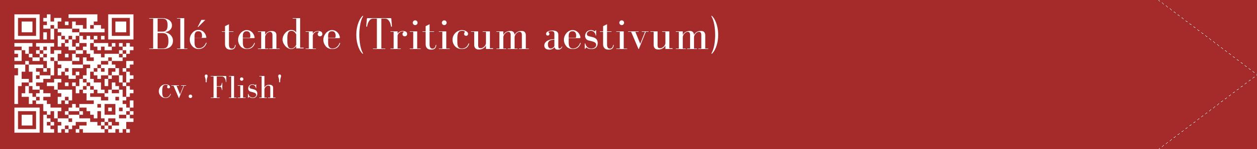 étiquette 2