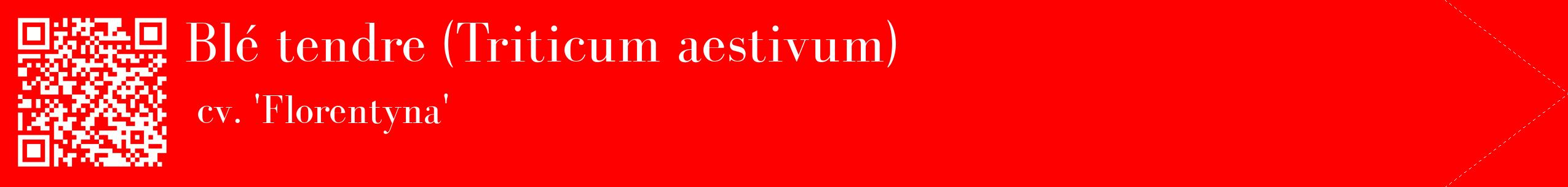 étiquette 2