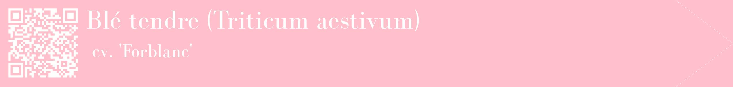 étiquette 2