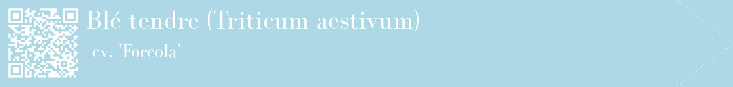 étiquette 2