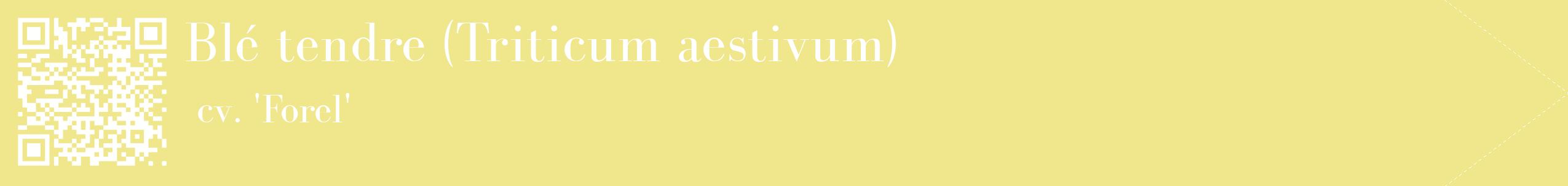 étiquette 2
