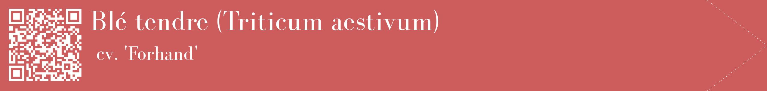 étiquette 2