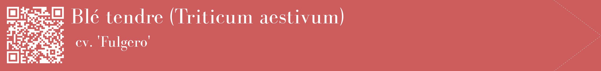 étiquette 2