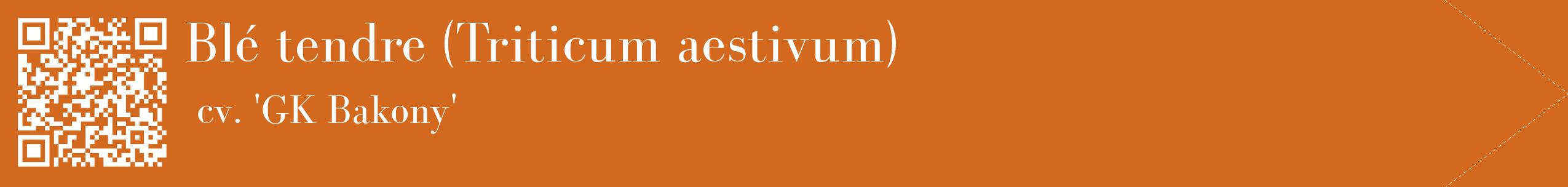 étiquette 2