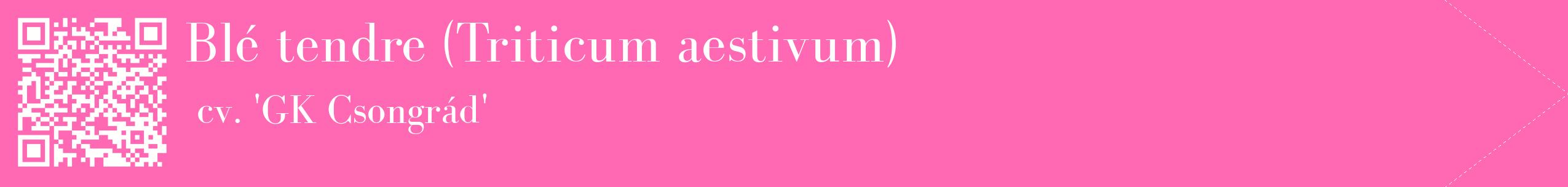 étiquette 2