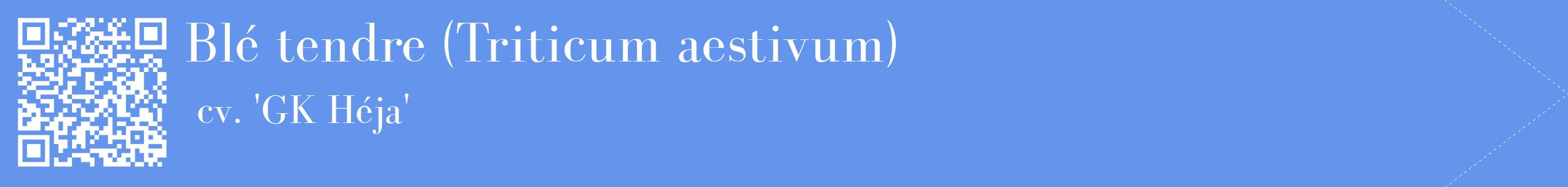 étiquette 2