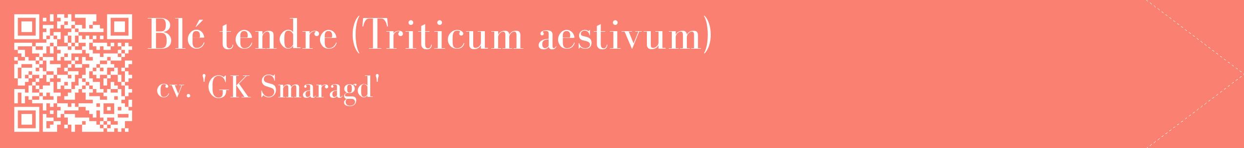 étiquette 2