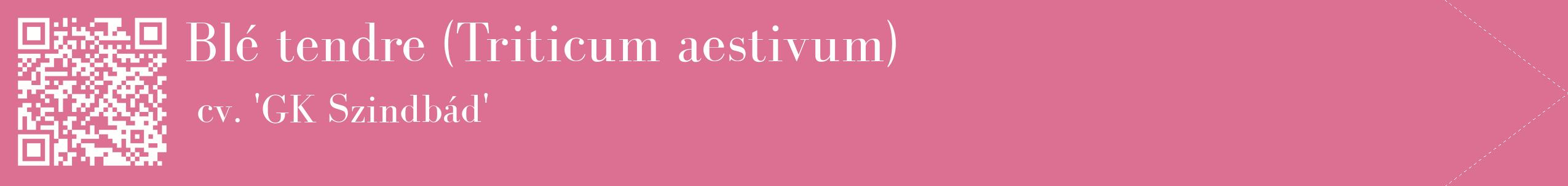 étiquette 2