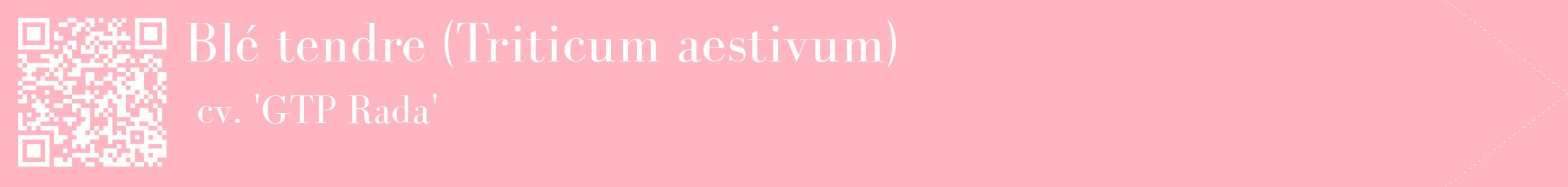 étiquette 2