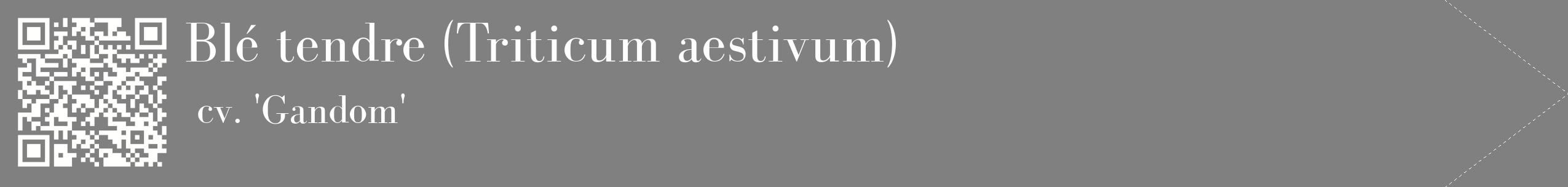 étiquette 2