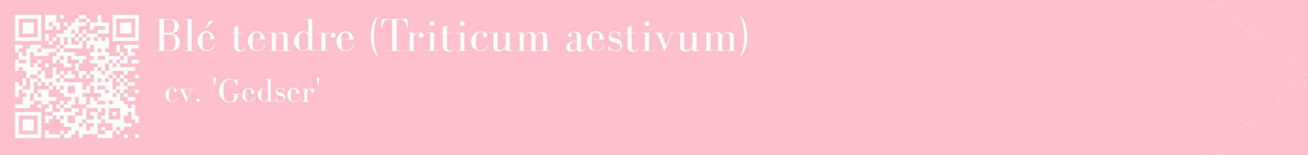 étiquette 2