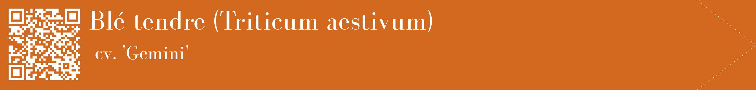 étiquette 2