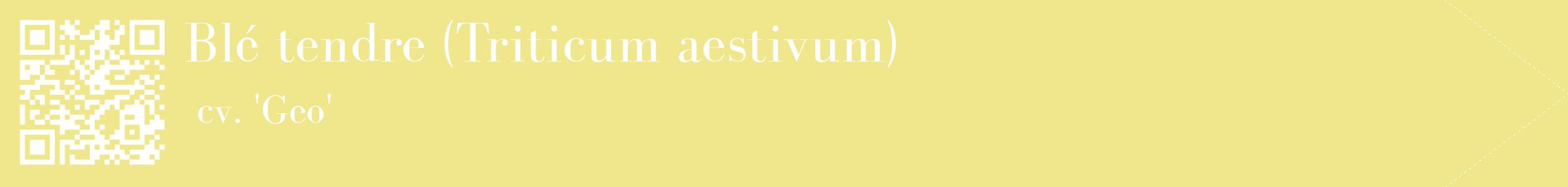 étiquette 2