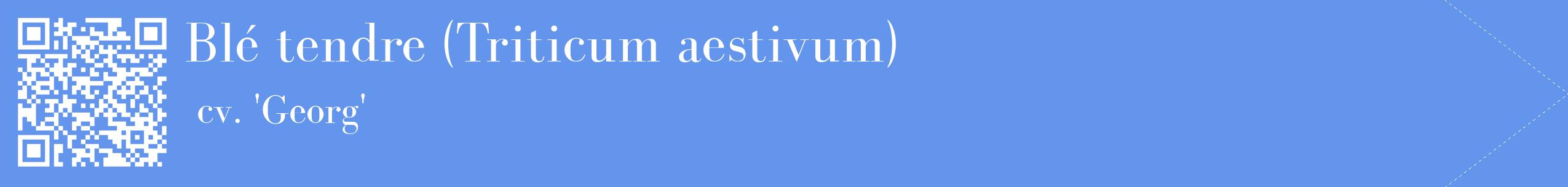 étiquette 2