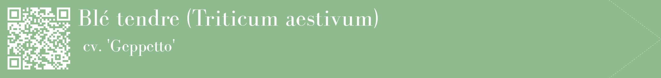 étiquette 2
