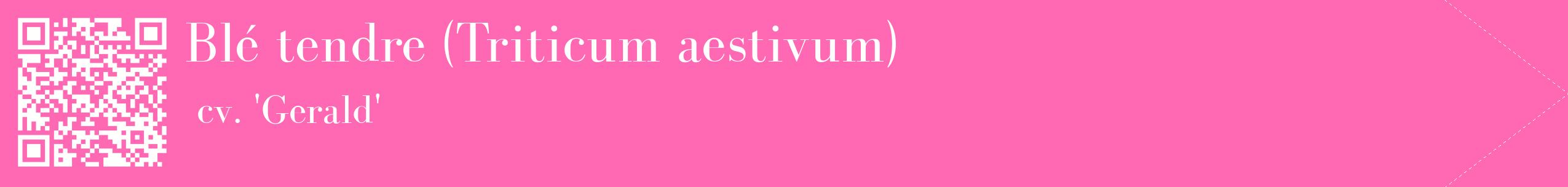 étiquette 2