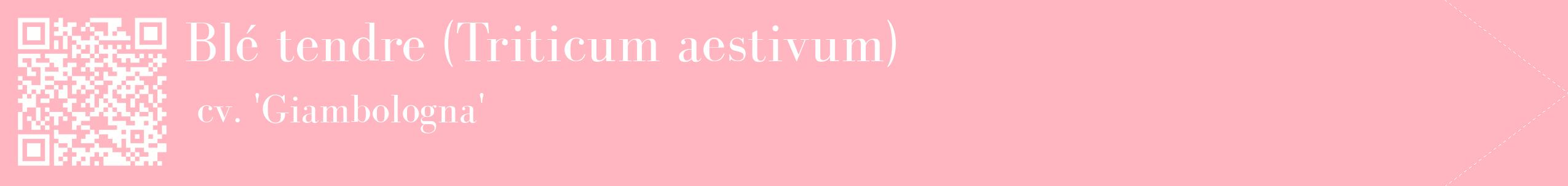 étiquette 2