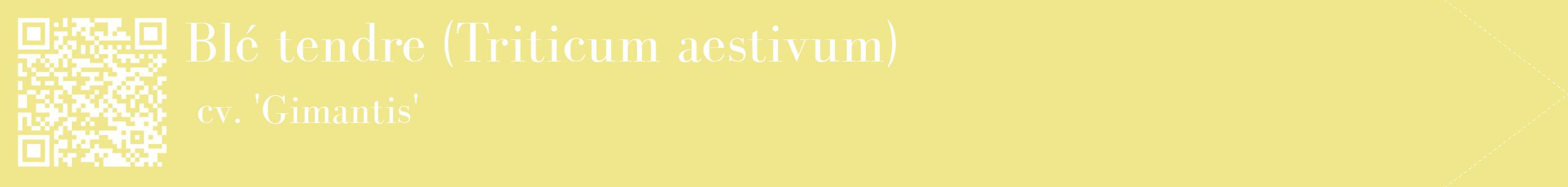 étiquette 2