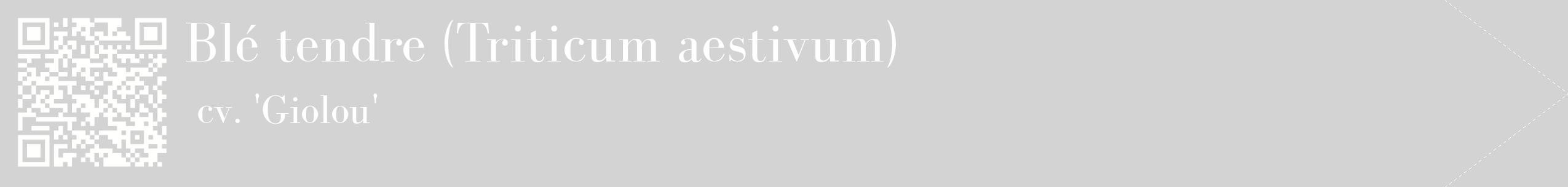 étiquette 2