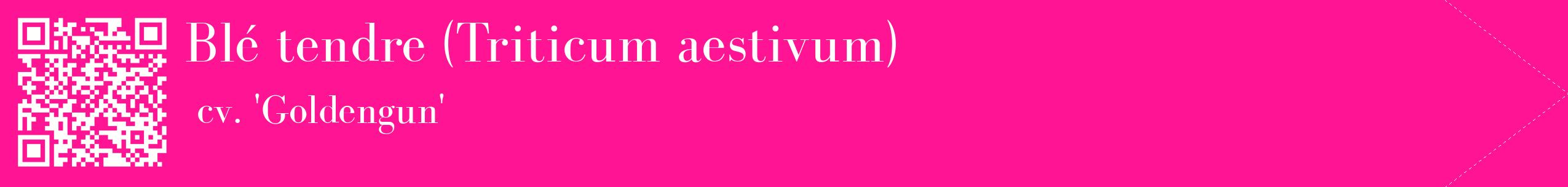 étiquette 2