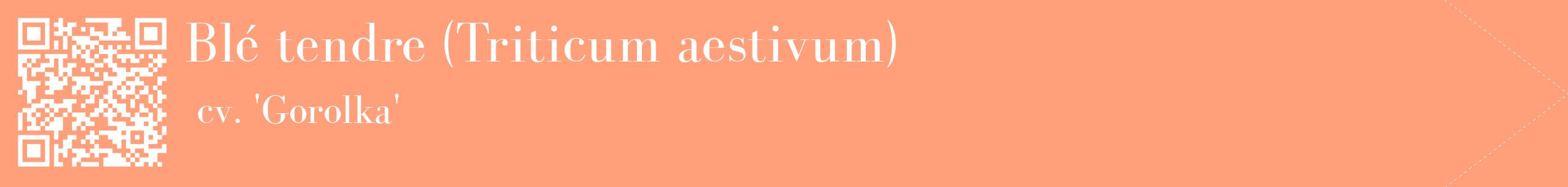 étiquette 2