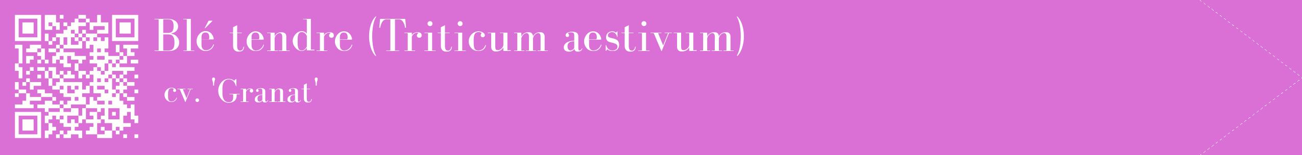 étiquette 2