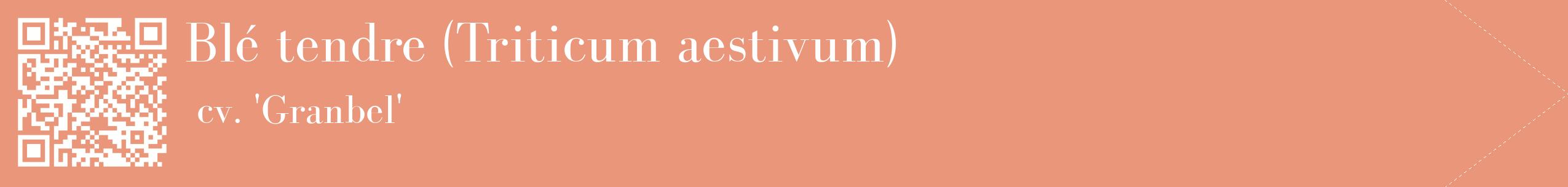 étiquette 2