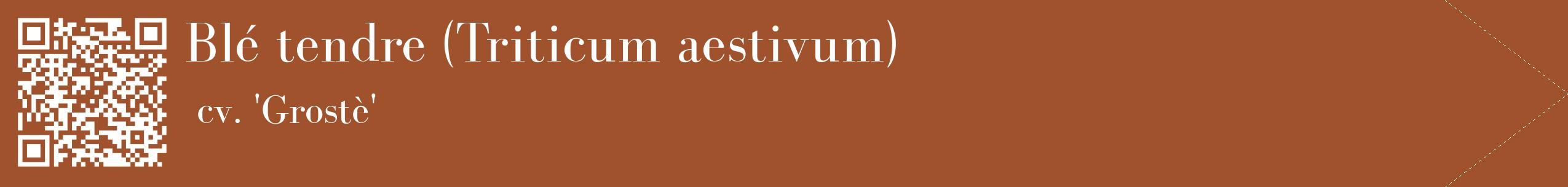 étiquette 2