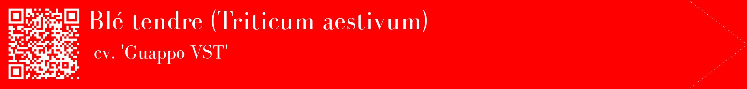 étiquette 2