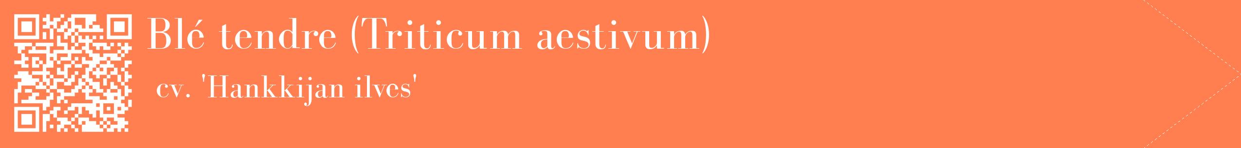étiquette 2