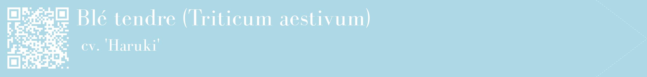 étiquette 2