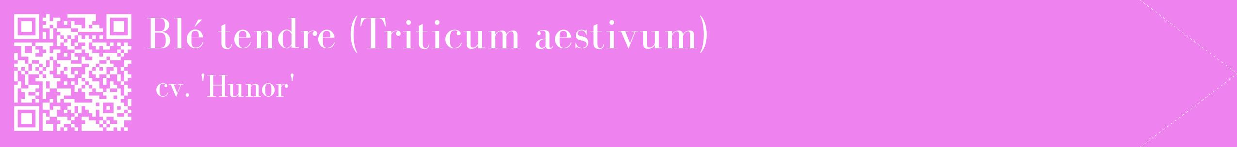 étiquette 2