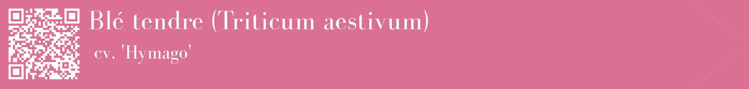 étiquette 2