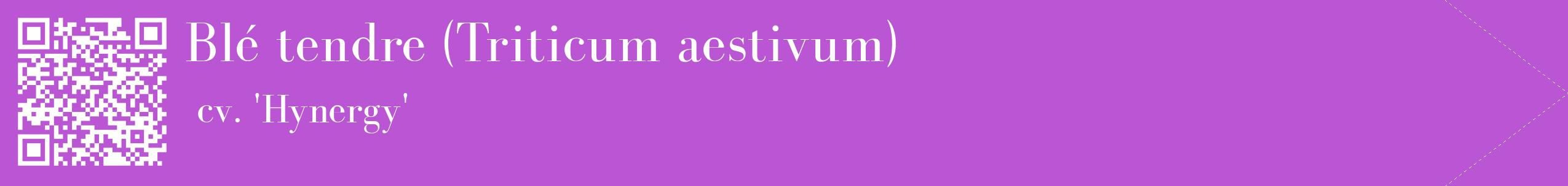 étiquette 2