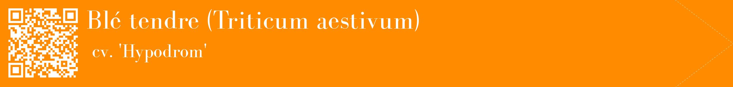 étiquette 2
