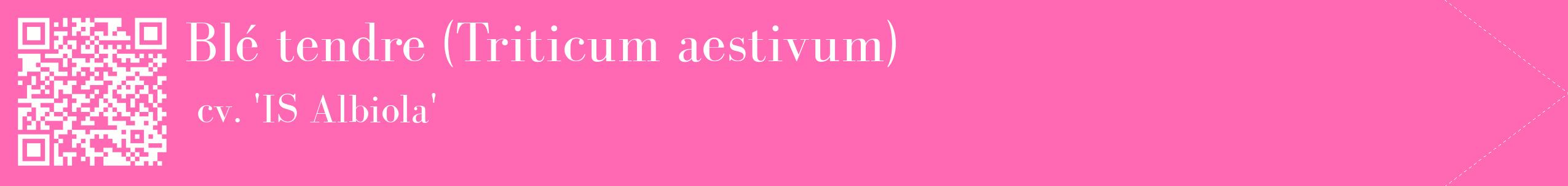 étiquette 2