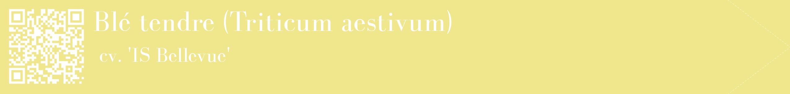 étiquette 2
