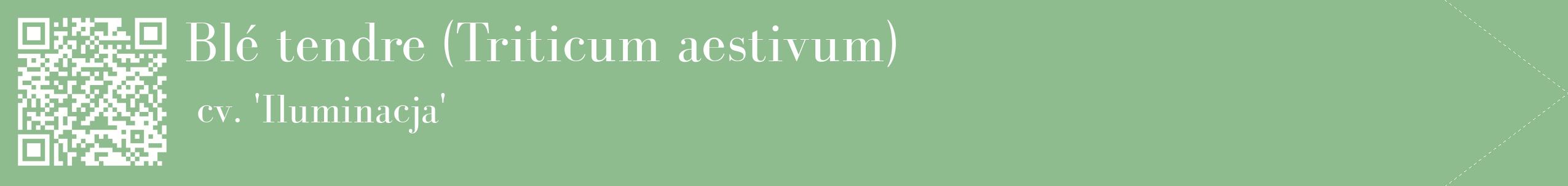 étiquette 2