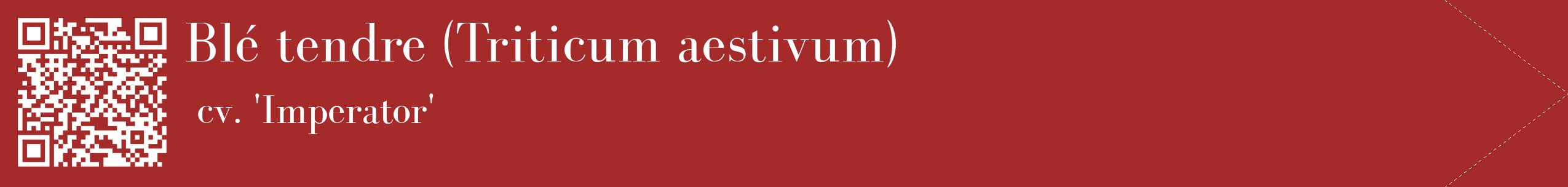 étiquette 2